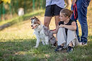 educateur chien toulouse