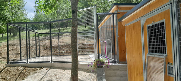pension canine 31