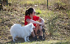education chien 31