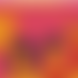 Université d'été des mouvements sociaux et des solidarités :  un rendez-vous militant incontournable