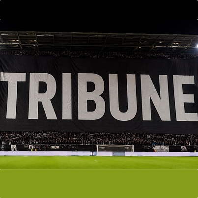 visuel tribune.png