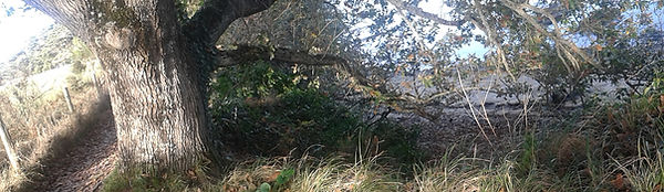 20141101_152906.jpg