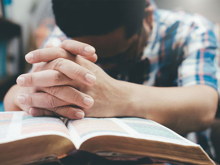 4 PASOS HACIA LA PAZ