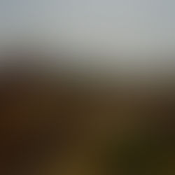 Uganda Refugee News - October 2021