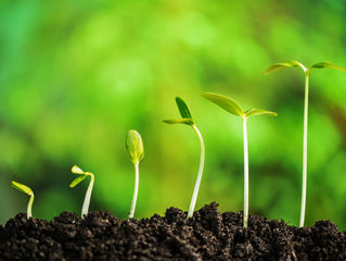 The Living Income Comunity of Practice in 2019