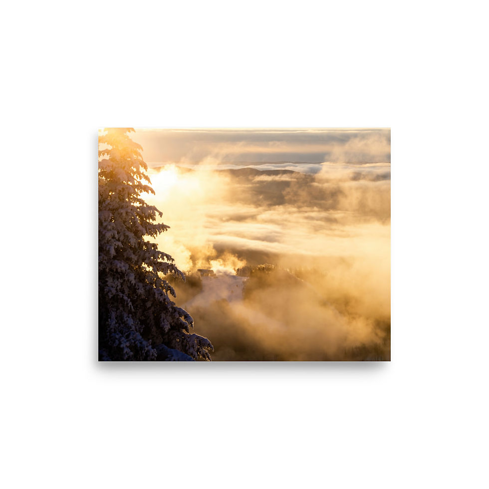 Thumbnail: Impressions Lustré  | Top Edge