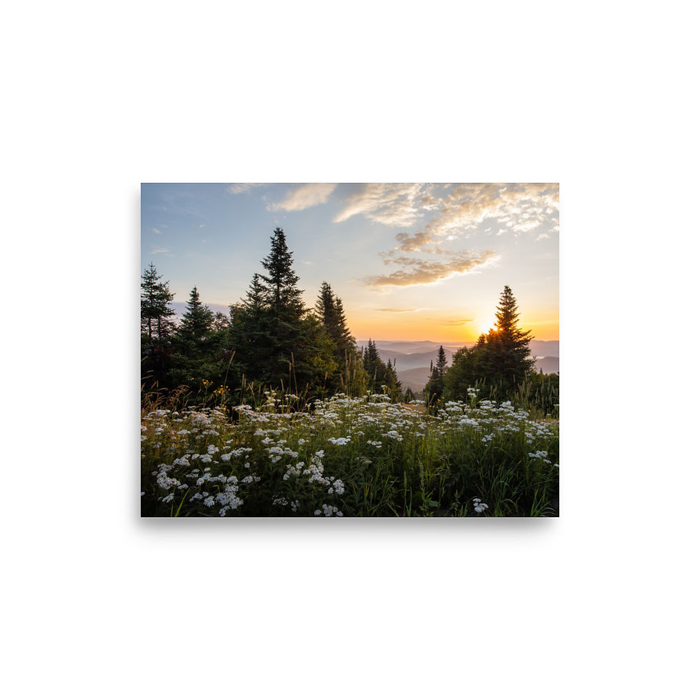 Miniature : Impressions Mat | Bloom