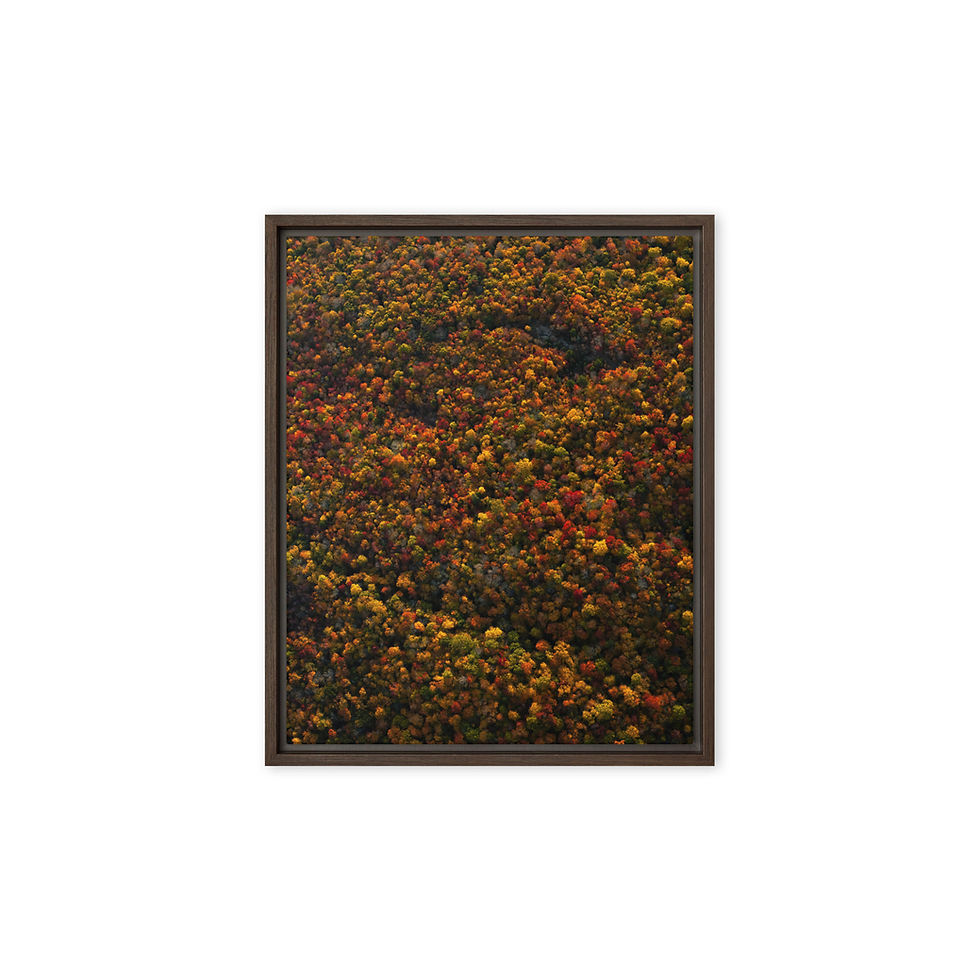 Miniature : Toiles Encadrées | Harmonie