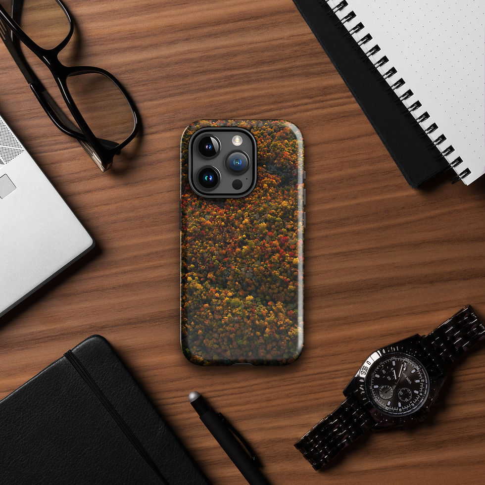 Thumbnail: iPhone Case | Harmony