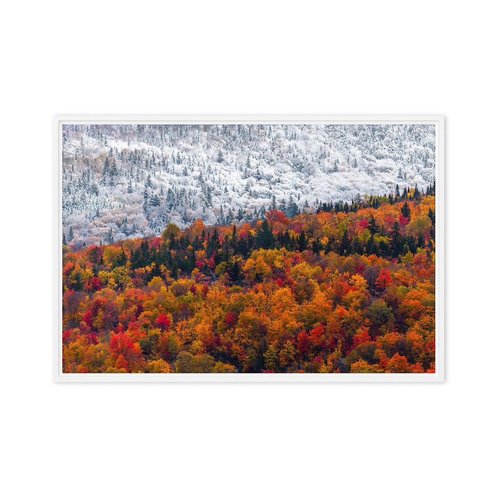 Thumbnail: Toiles Encadrées | Seasons