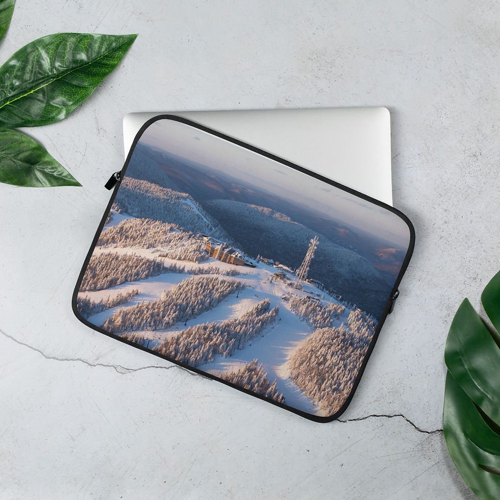 Thumbnail: Housse pour ordinateur portable | Tremblant