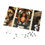 Thumbnail: Lion Tiger & Bear Puzzle with Tin