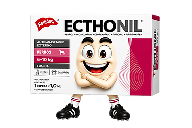 Ecthonil sin fondo.png