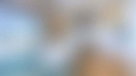 Best Kitchen Renovation Ideas for Entertaining