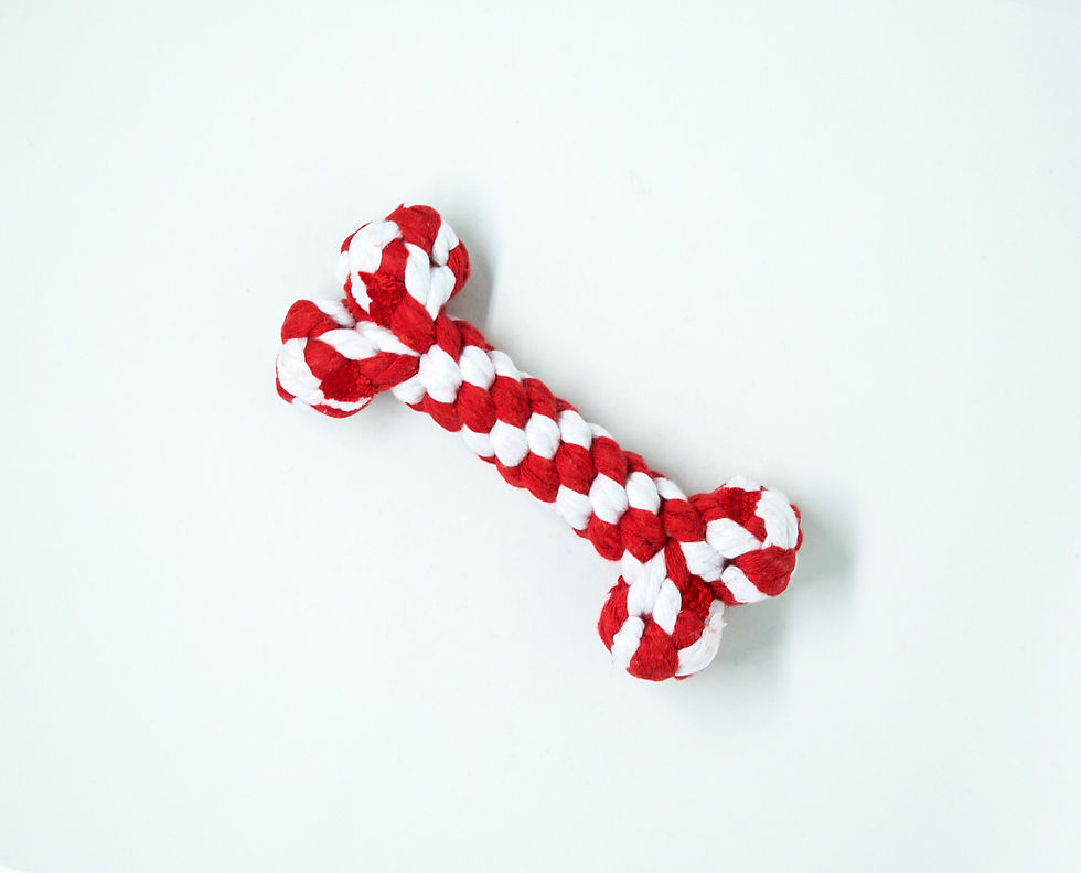 Thumbnail: Heart Me Rope Bone