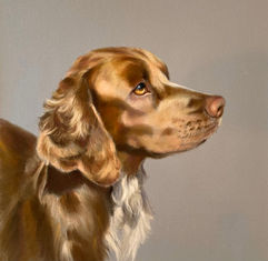 ‘Little Boy’- beloved rescue-pastel-8x8”
