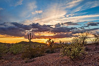 Arizona.jpeg