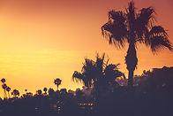 Los Angeles Orange.jpeg