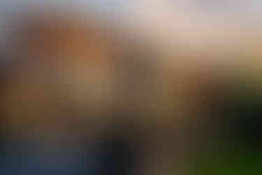 Contemporary architecture