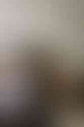 Modern Bedroom with custom white oak nightstand