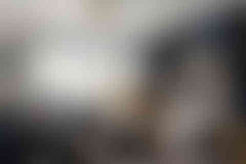 Living room with sectional and lounge chairs