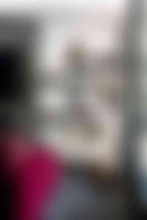 Crisp color palette in modern living room