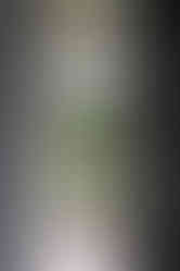 Large windows in modern home