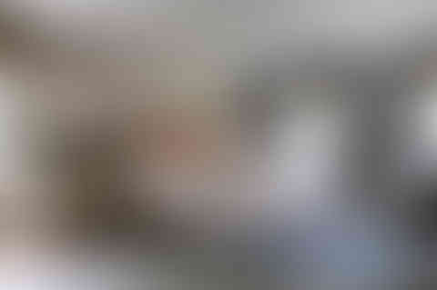 Serene primary bedroom