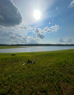 Nature call
