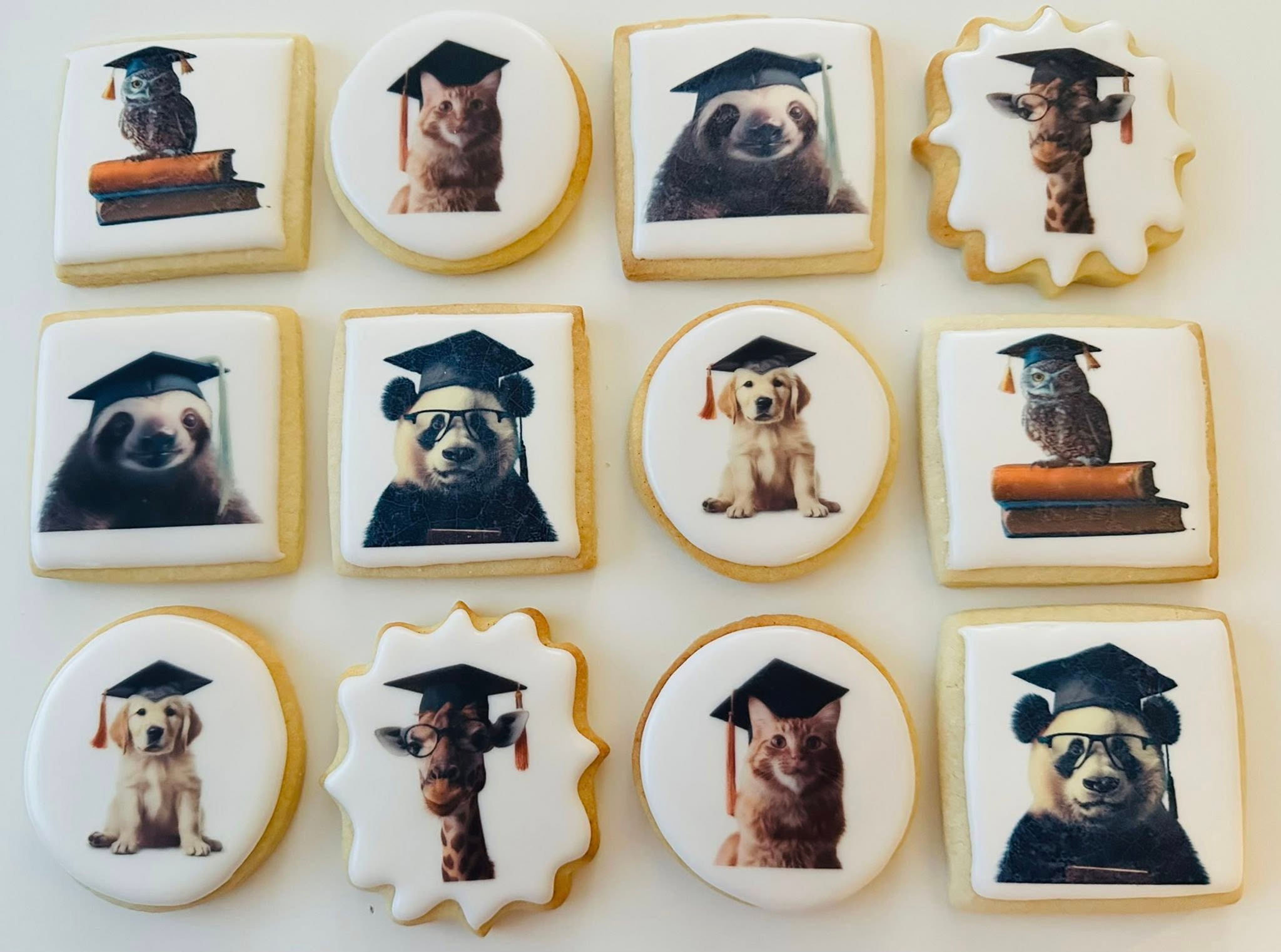 Graduation Animals Cookie Set