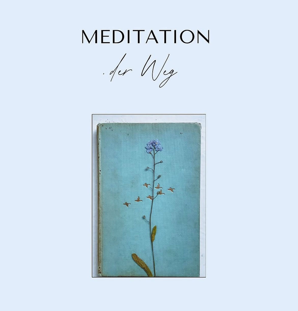 Ein Buch in Türkis mit Blume. Schriftzug MEDITATION der Weg.