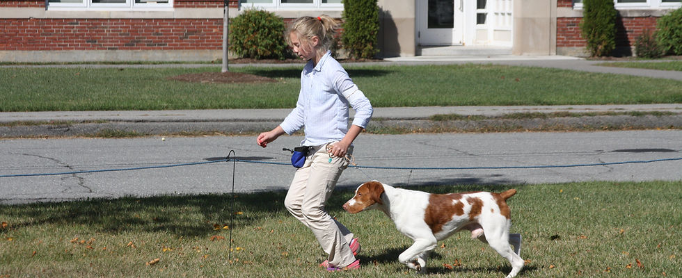 Penobscot Valley Kennel Club Match