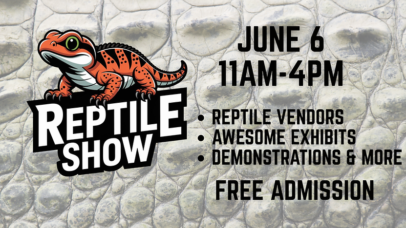 website reptile show (2).png