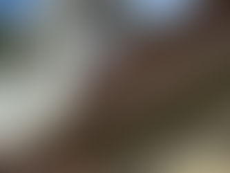 Sussex Historic Churches Trust gives large grant to St Mary the Virgin in Ninfield