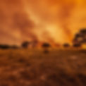 Texas Wildfire