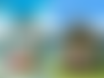 Por que ver Digimon Adventure Tri?