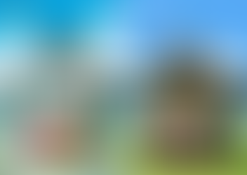 Por que ver Digimon Adventure Tri?