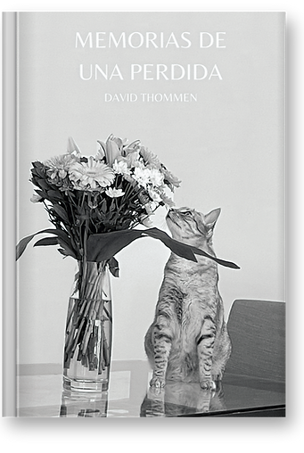 libro-3d-memorias-de-una-perdida.png