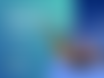 Leveraging Key Performance Indicators for Branding