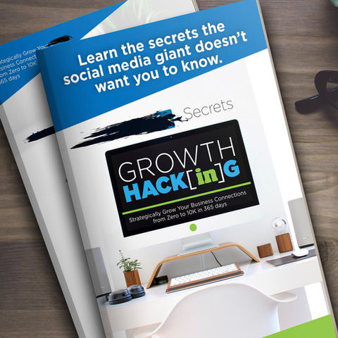 Book cover of "Growth Hacking: Strategically Grow Your Business Connections from Zero to 10K in 365 Days" by Jess Tiffany, featuring a modern and professional design for business growth strategies.