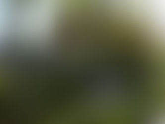 „Riesenherausforderung“ - 300 ukrainische Kinder in Celler Schulen und Kitas