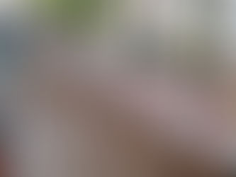 Ungereimtheiten - Celler Brandplatzgestaltung wirft Fragen auf