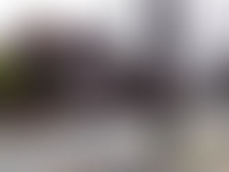 Drei Alleebäume in der Breiten Straße gefällt