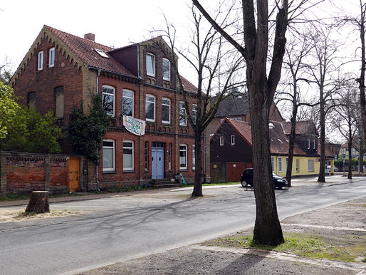 Drei Alleebäume in der Breiten Straße gefällt