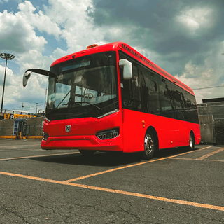 Autobus de 8 metros