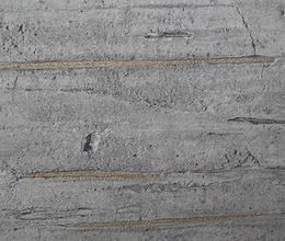 Gold Grain CS.webp