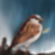 Sparrow Painting, Nz Art