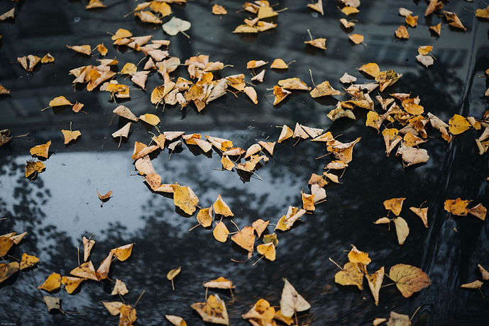 roman-kraft-421410-unsplash (1).jpeg