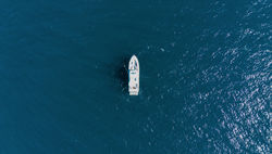 DJI_20240605091108_0738_D