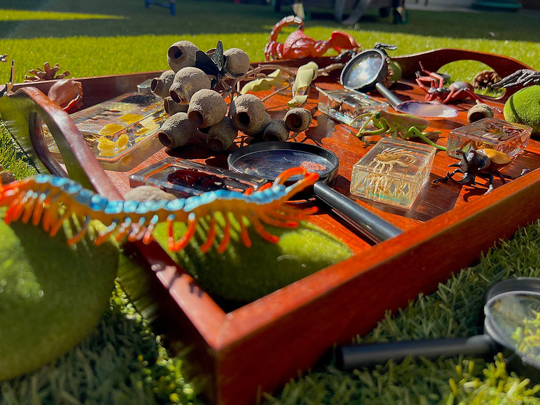 Discovery Tray 2.jpeg